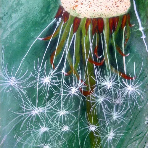 1_09_pusteblume___100x50_small.jpg